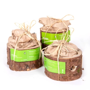 Barbecue jetable " Börner "